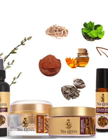 Willow Bark Anti Acne Kit