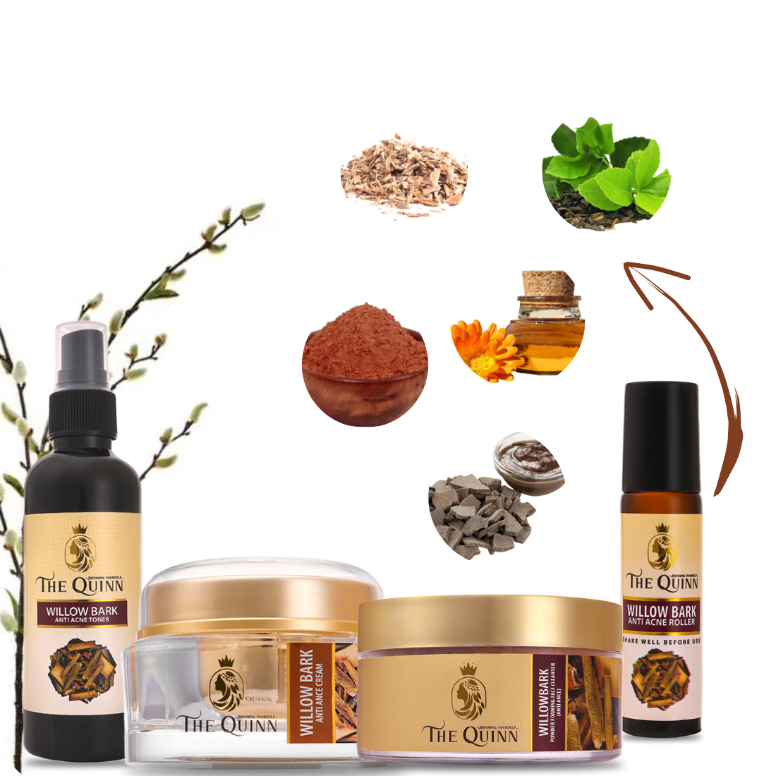 Willow Bark Anti Acne Kit