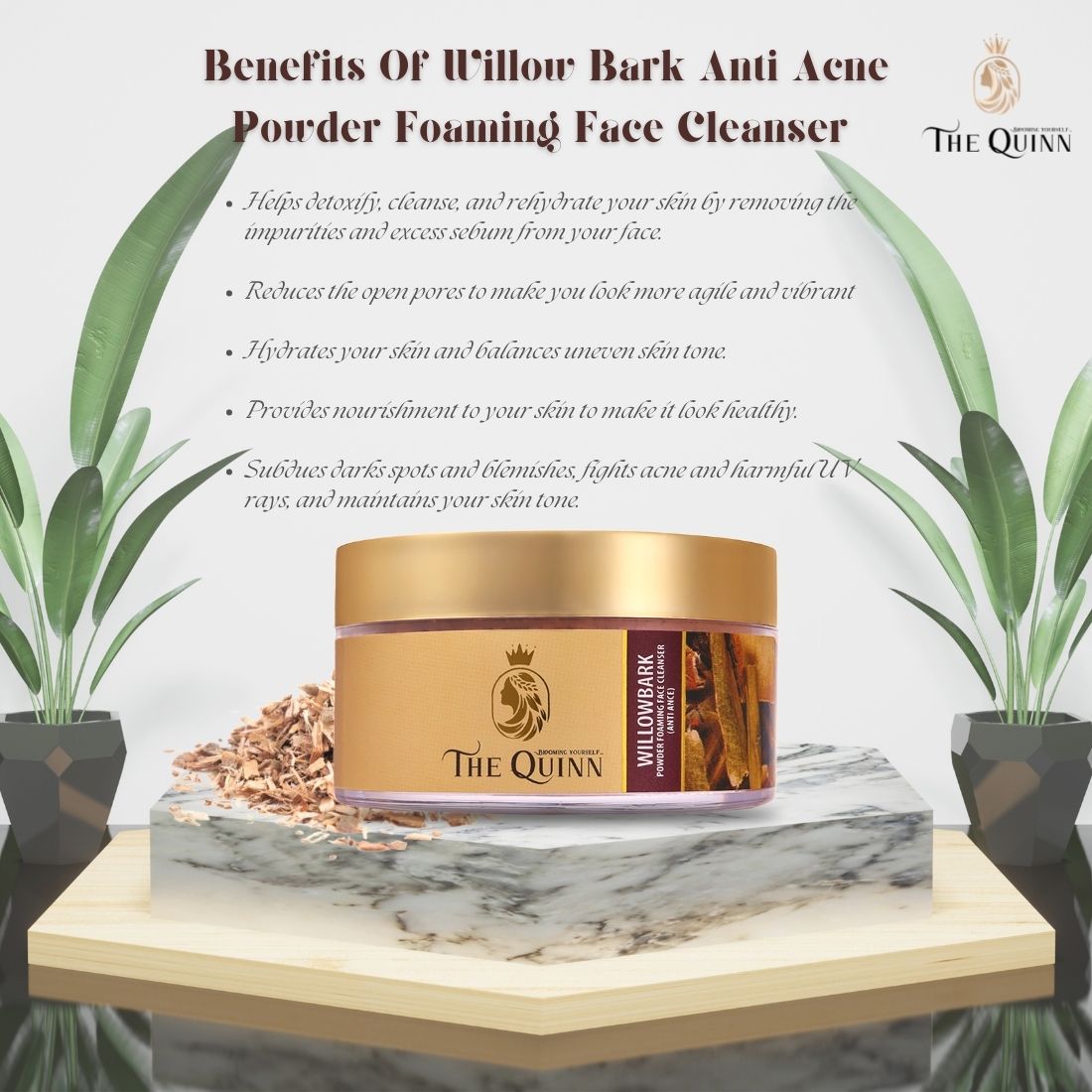 WillowBark Anti Acne Powder Foaming Face Cleanser + WillowBark Anti Acne Cream