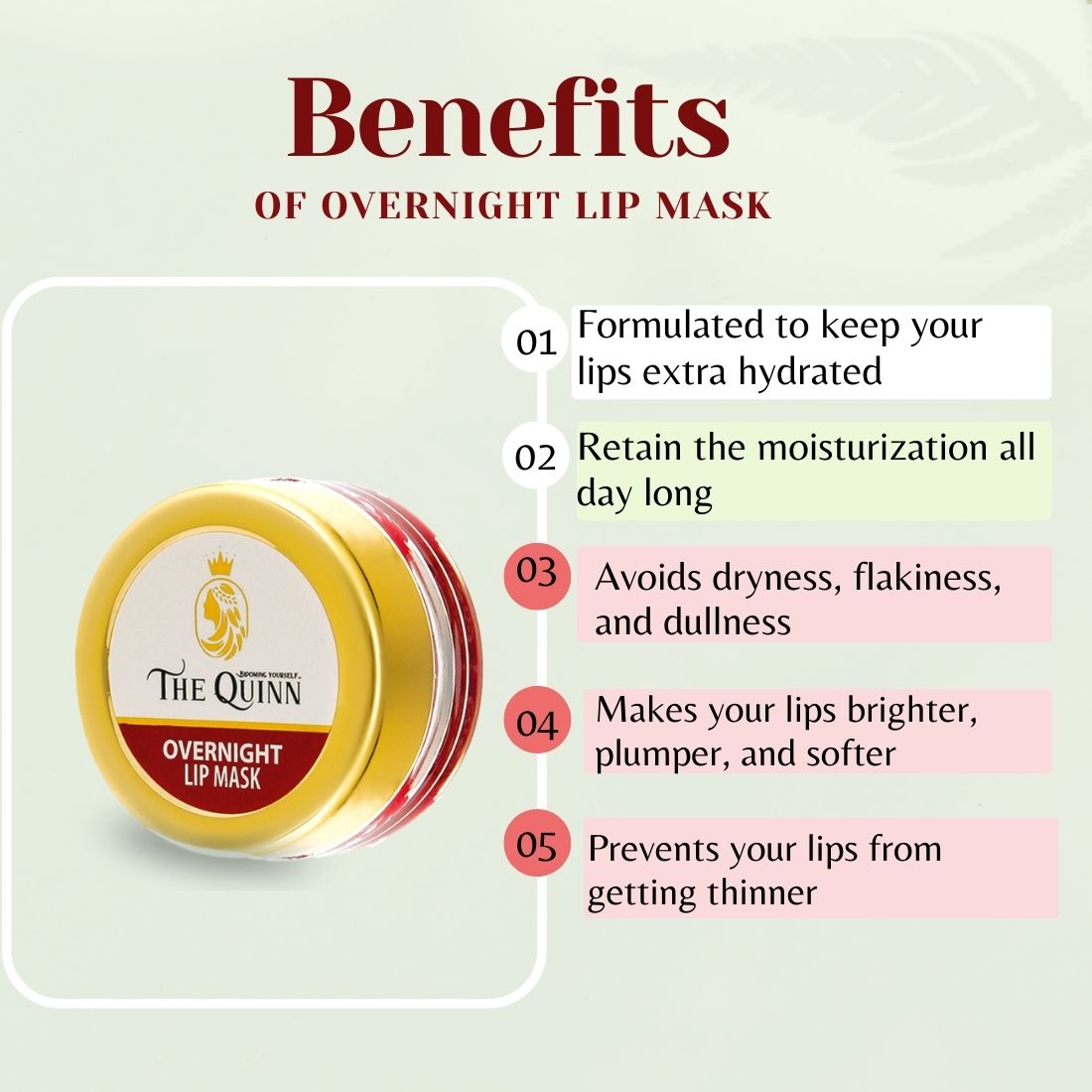 Overnight Lip Mask